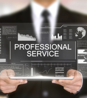 Diagram illustrating professional services